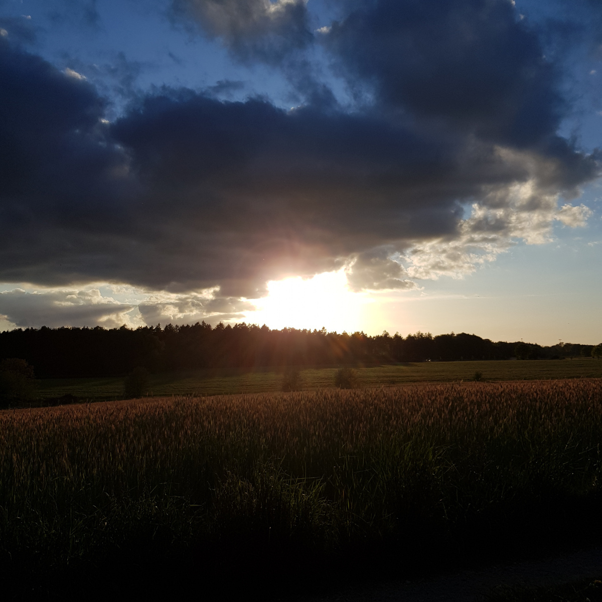 Sonnenuntergang über die Felder von Sülfeld