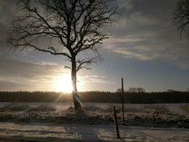 Wintersonne bei Sülfeld Wintersonne bei Sülfeld
