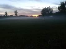 Nebel über den Feldern Segebergs