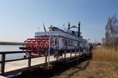 Raddampfer im Hafen Zingst