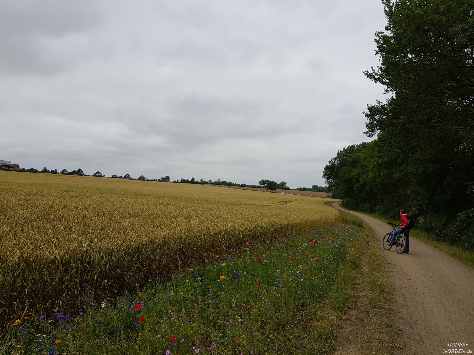 Fahrradweg auf Fehmarn Fahrradweg auf Fehmarn