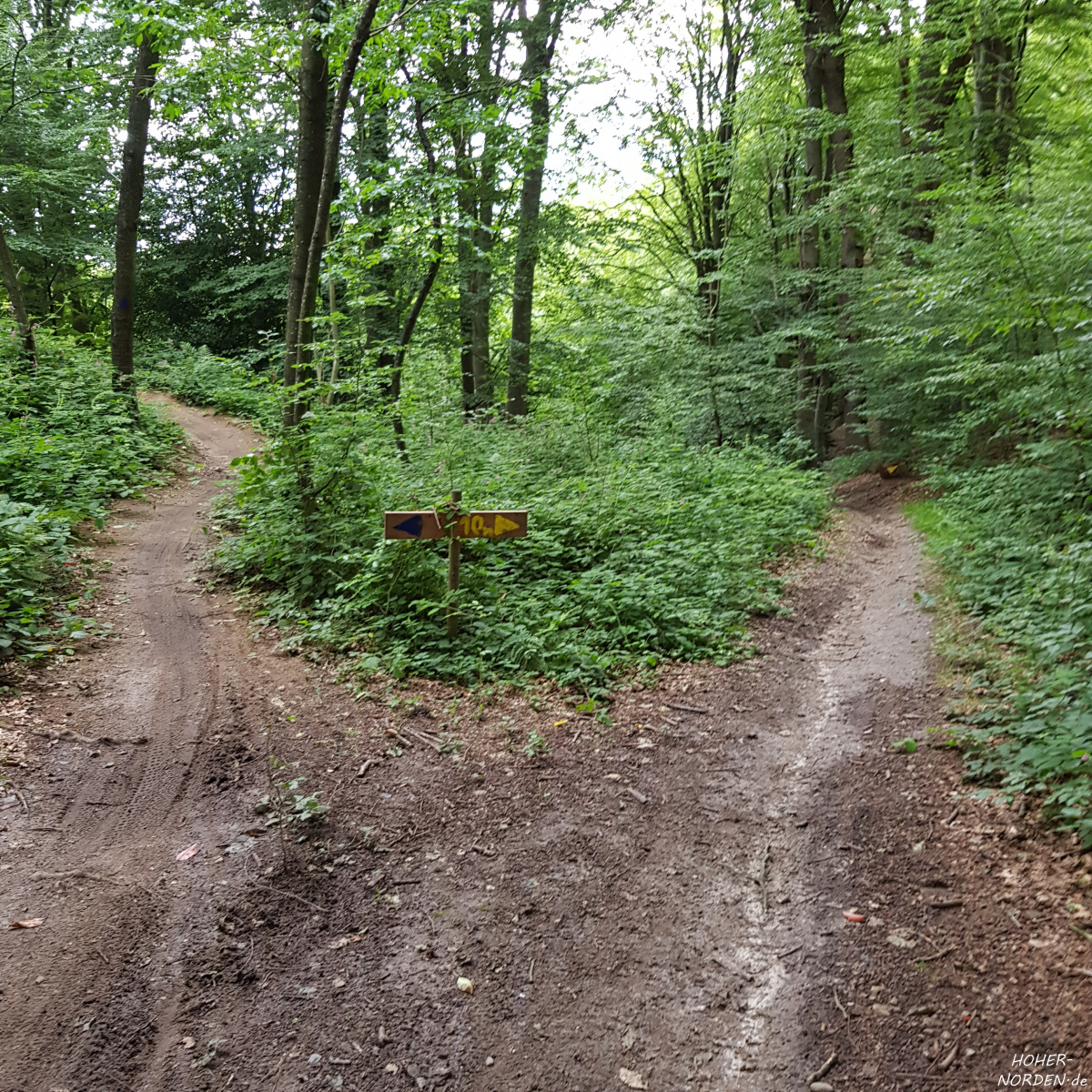 Radstrecke Hütti-Trail