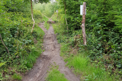 MTB Hütti - Trail Grundstrecke