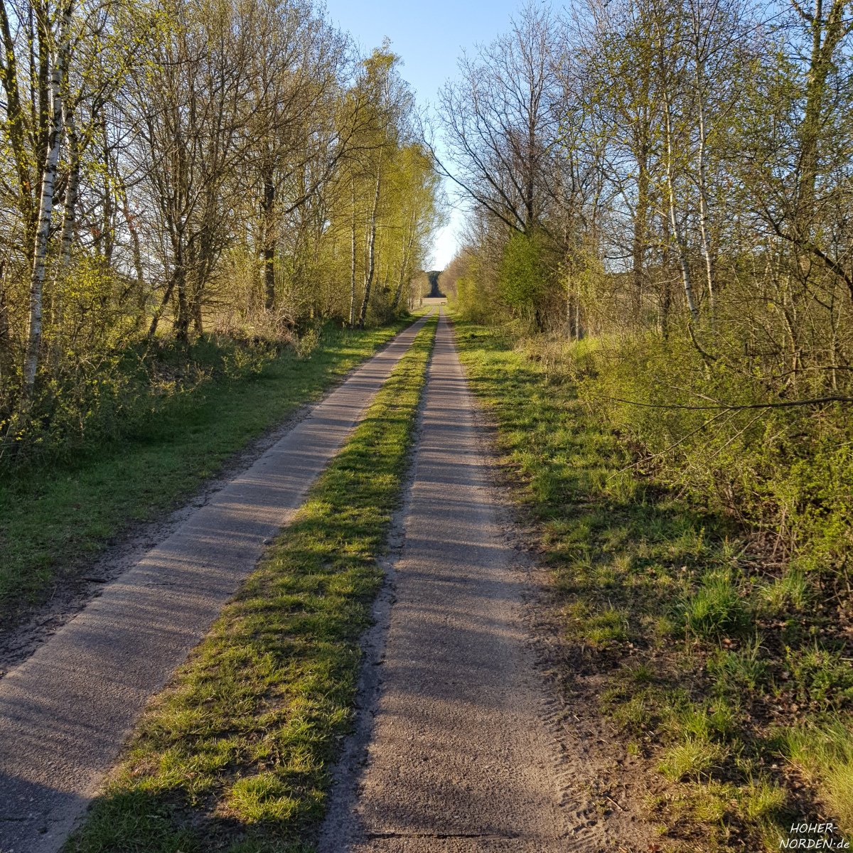 Fahrradweg in der Barker Heide