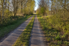Fahrradweg in der Barker Heide