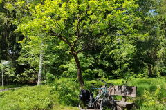 Fahrradtour durch den Segeberger Forst
