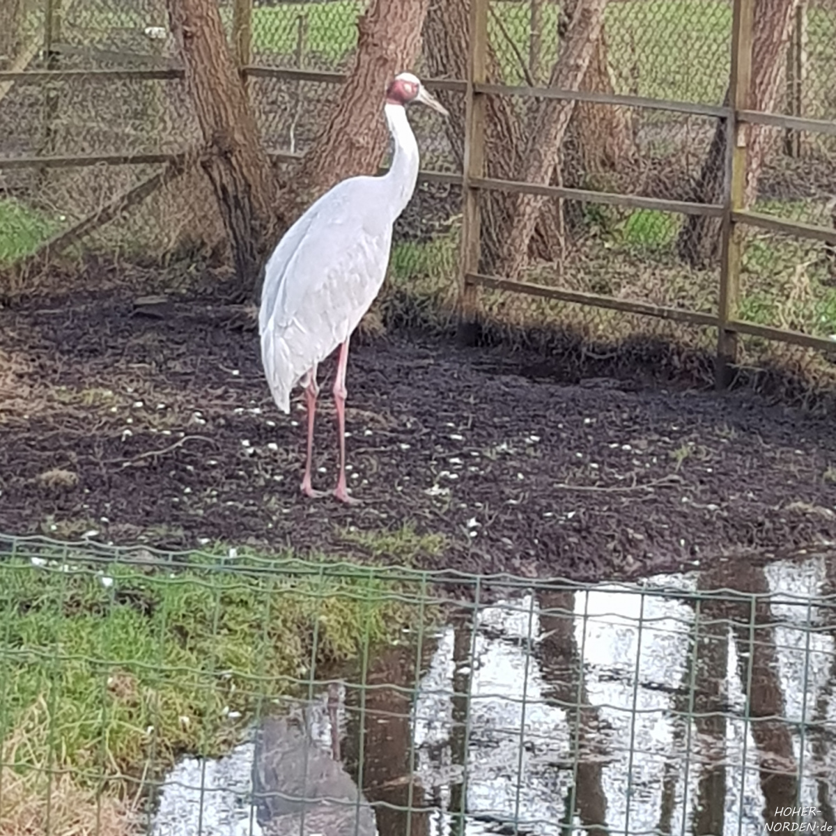 Vogelpark Niendorf Vogelpark Niendorf