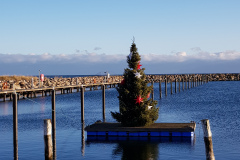 Weihnachtsbaum im Yachthafen Grömitz