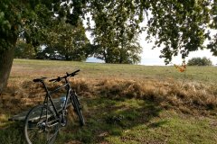 Fahrradtour am Naturstrand Putbus
