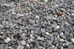 Steine an der Küste Rügens
