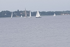 Blick über den Strelasund nach Rügen
