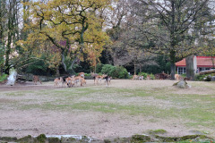 Tiere im Tierpark Hagenbeck