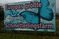 Schmetterlingsfarm in Trassenheide